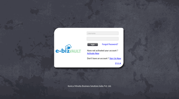 e-bizvault.com