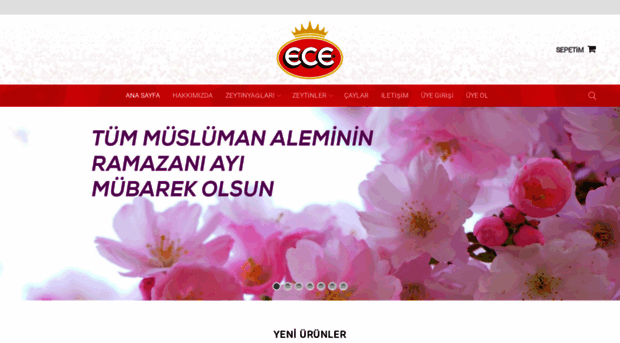 e-ece.com