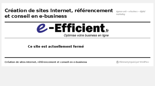 e-efficient.fr