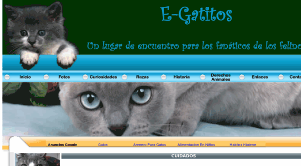 e-gatitos.com.ar