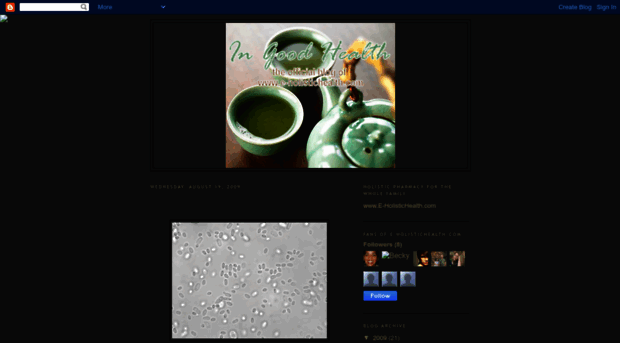 e-holistichealth.blogspot.com