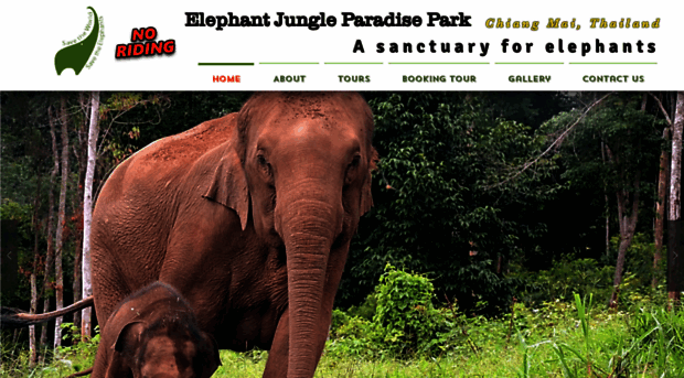 e-junglepark.com