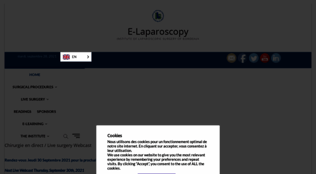 e-laparoscopy.fr