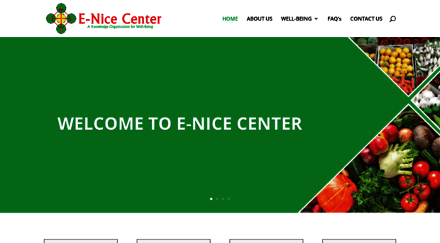 e-nicecenter.com