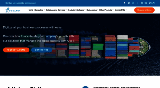 e-solution.com