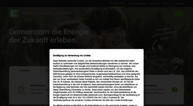 e-steiermark.com