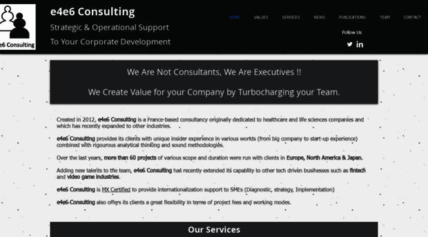 e4e6consulting.com