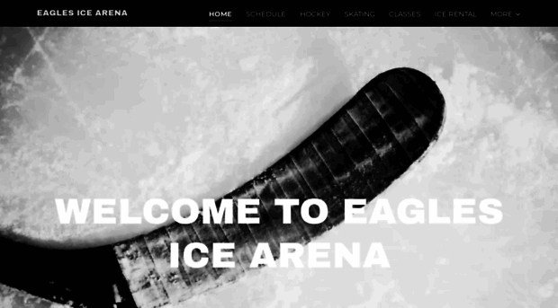 eaglesicearena.com