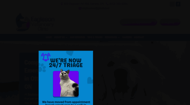eaglesonveterinaryclinic.ca