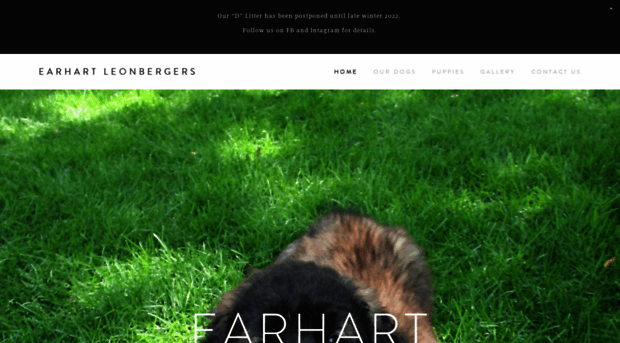 earhartleonbergers.com