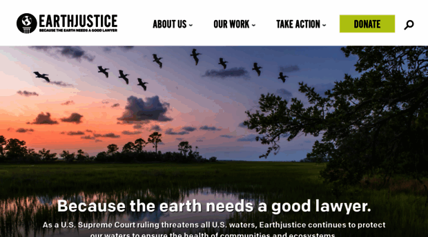 earthjustice.com