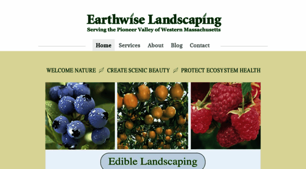 earthwiselandscaping.com