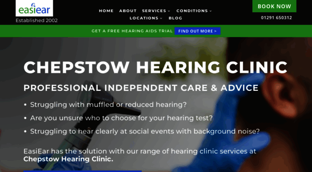 easi-ear.com