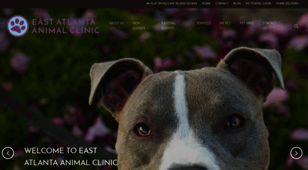 eastatlantaanimalclinic.com