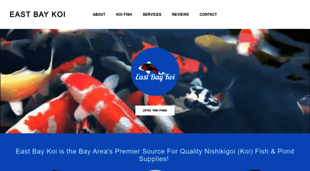 eastbaykoi.com