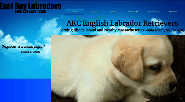 eastbaylabradors.com