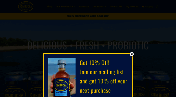 eastcoastkombucha.com