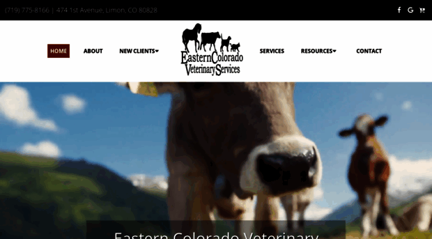 easterncoloradovets.com