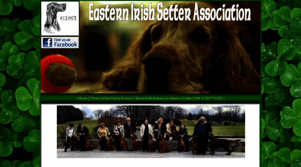 easternirishsetters.org