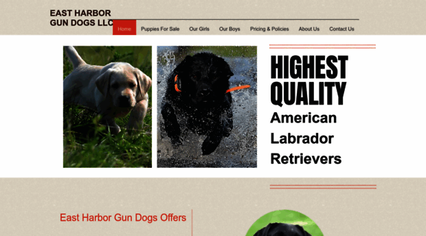 eastharborgundogs.com