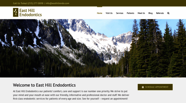 easthillendodontics.com