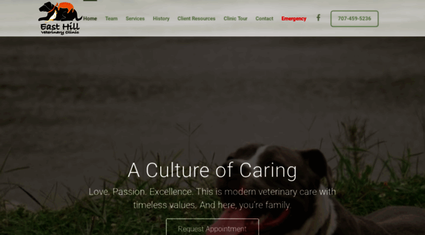 easthillvet.com