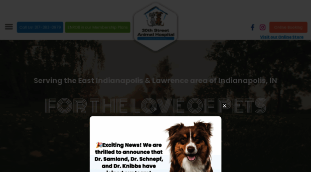 eastindyvet.com