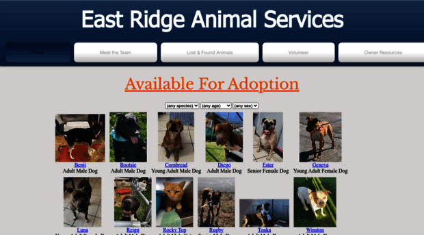 eastridgeanimalservices.org