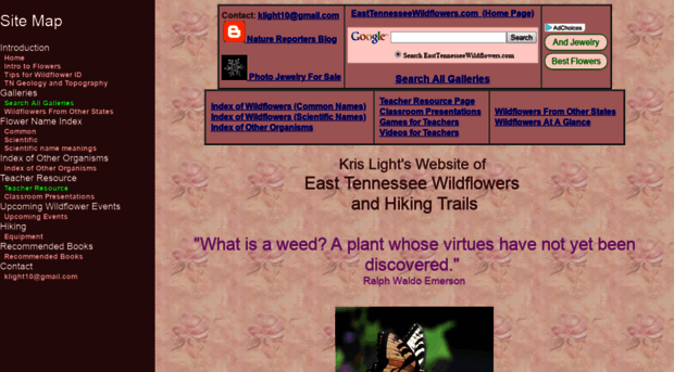 easttennesseewildflowers.com