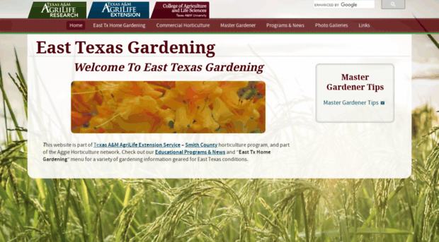 easttexasgardening.tamu.edu