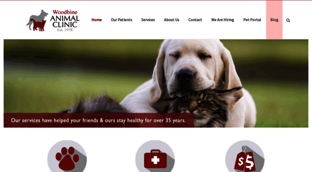 easttorontovetclinic.ca