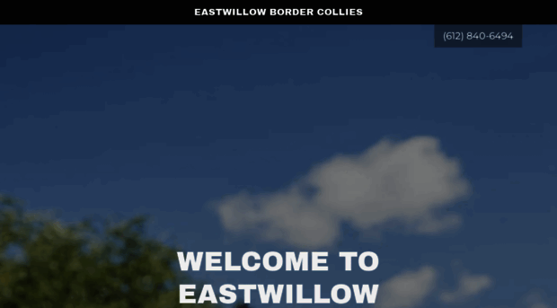 eastwillowbordercollies.com