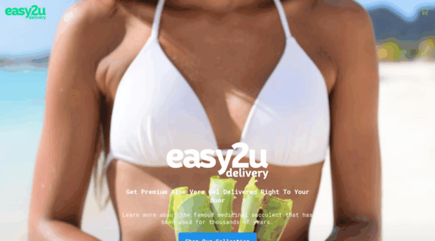 easy2udelivery.com