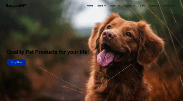 easypet247.com