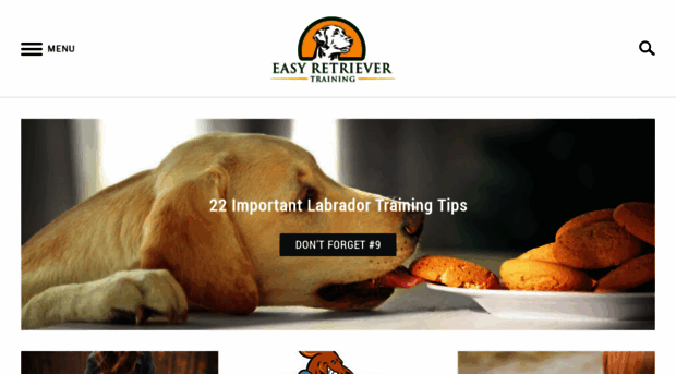 easyretrievertraining.com