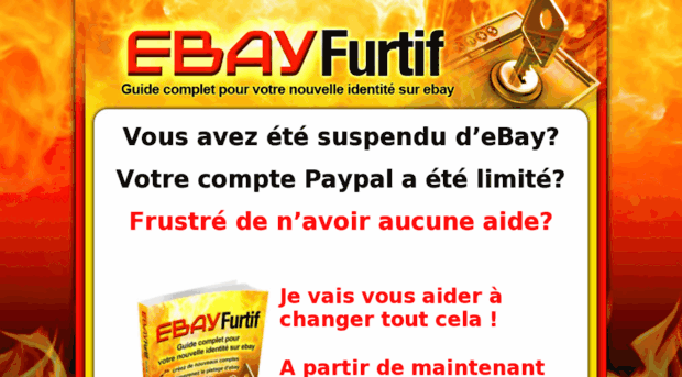 ebayfurtif.com