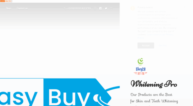 ebey20.com