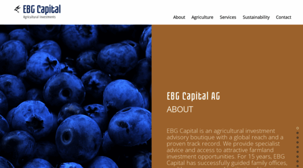 ebg-capital.com