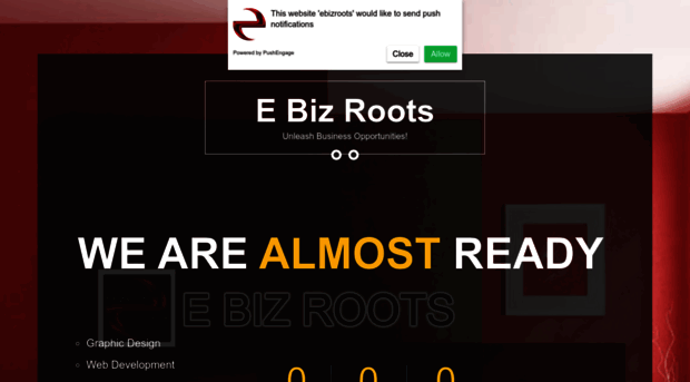 ebizroots.com