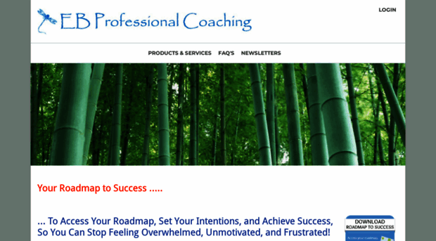 ebprofessionalcoaching.coachesconsole.com