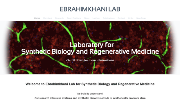 ebrahimkhanilab.com