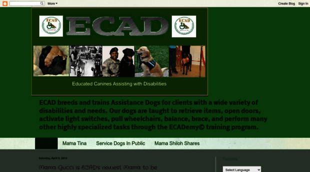 ecad1.blogspot.co.il