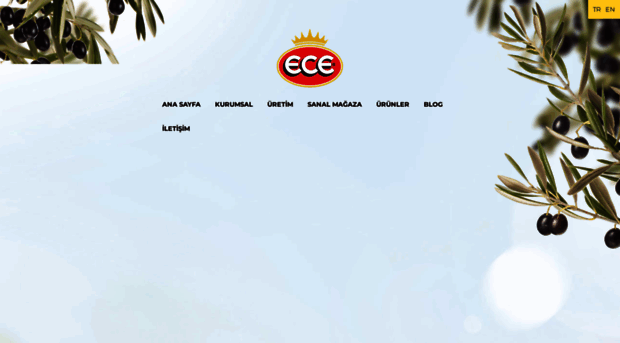 eceolives.com