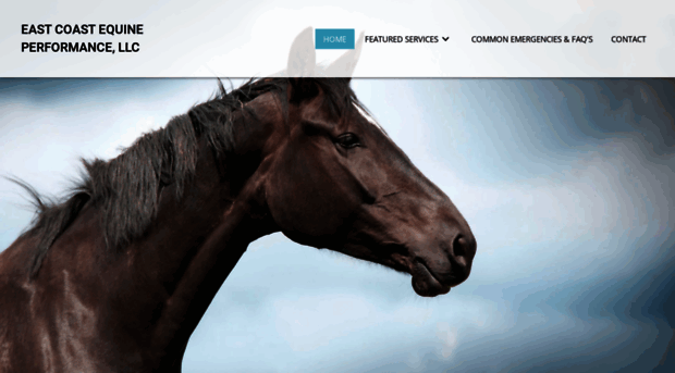 ecequine.com