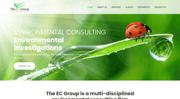 ecgroupllc.com