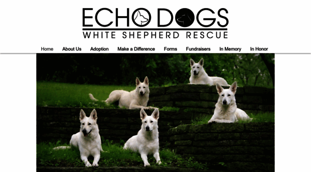 echodogs.org