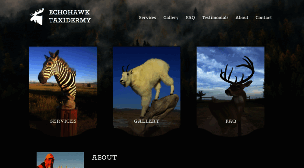 echohawktaxidermy.com