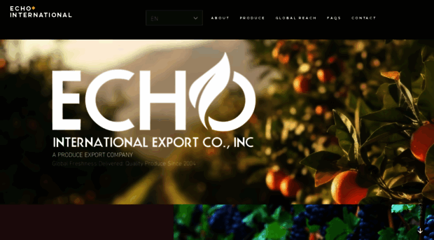 echointernational.us