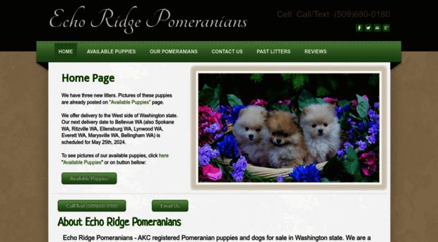 echoridgepomeranians.weebly.com