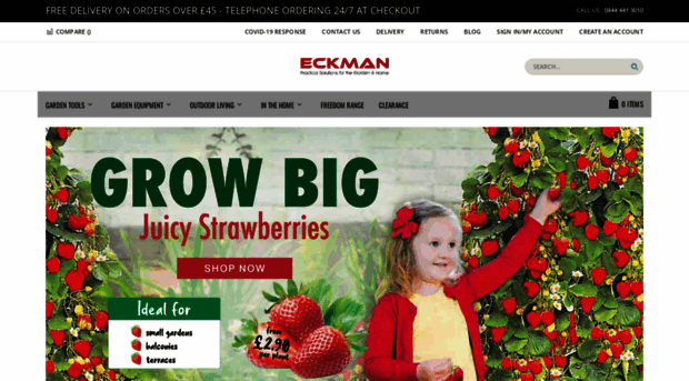 eckman.ie